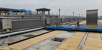 �¶��Ƽ��|�I����̿�����Ŀ�͑��F��