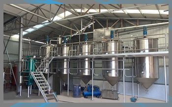 �¶��Ԅӻ��Ƽ��͑����լF��